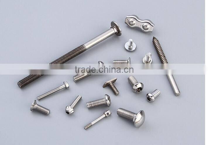 Stainless Steel non standard screw