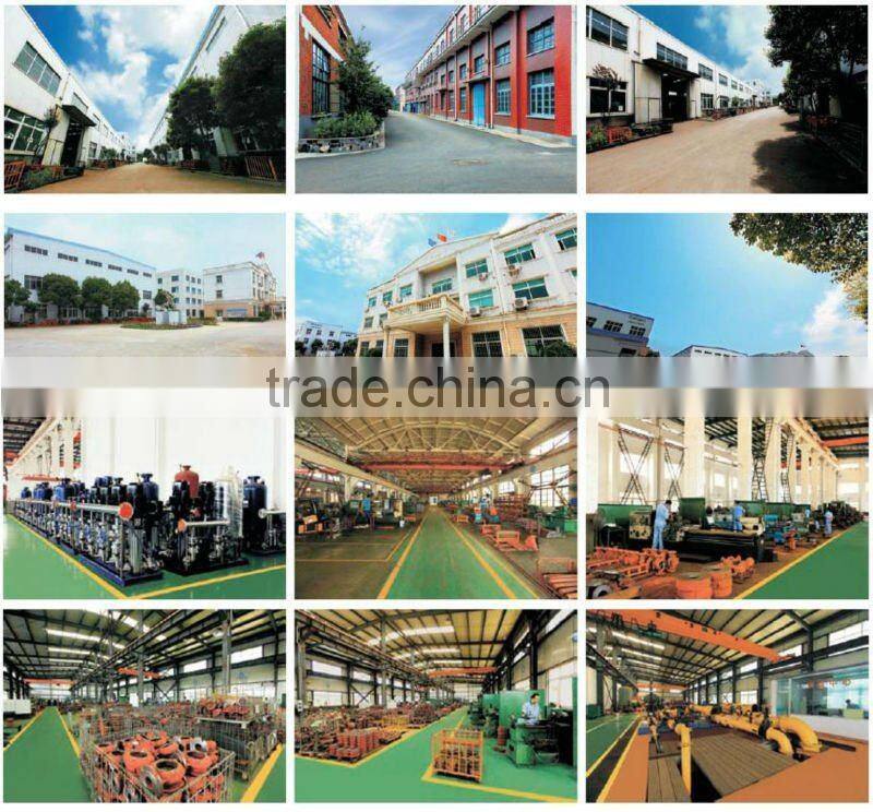 Electrical Single-suction Chemical Pump 1.6Mpa