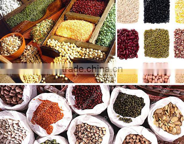 DSHT-20 professional supplier of coffee bean drying tower machine, grain dryer