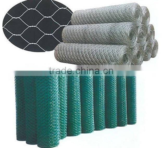 Galvanized welded wire mesh Factory Low Price