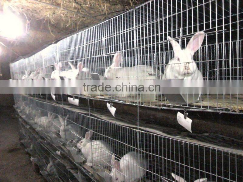 3 tiers 12 capacity folding rabbit cages cheap prices hot sale products