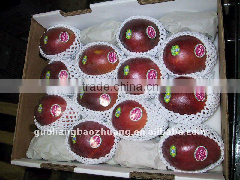 Fruit Foam Packaging Net/Mango Foam Net