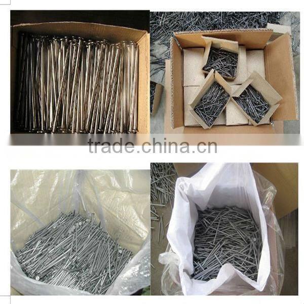 Common iron wire nails