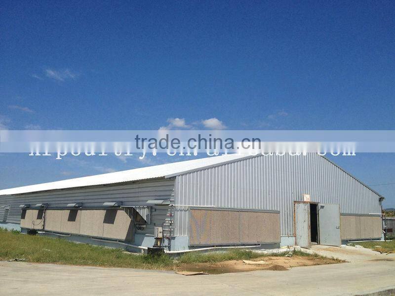modern chicken egg poultry farm building