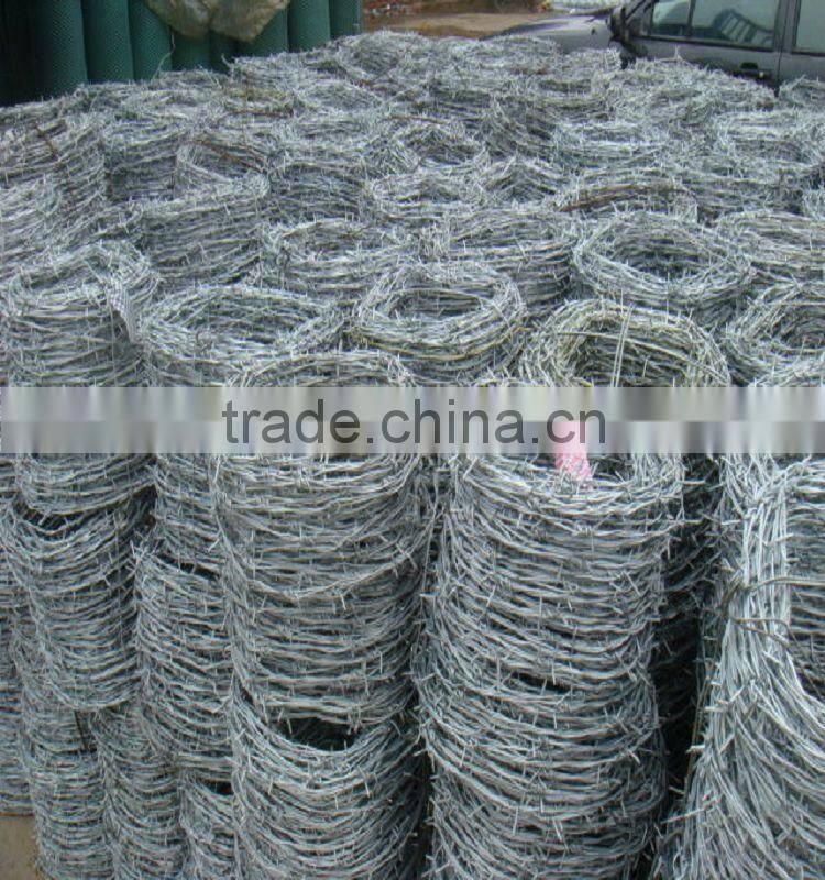 galvanized barbed wire factory / Barbed Wire