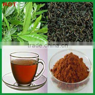 Instant Black Tea Powder 100% soluble in water