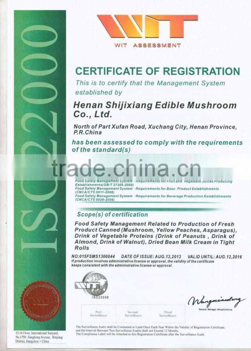 hot sales canned drumstick mushroom