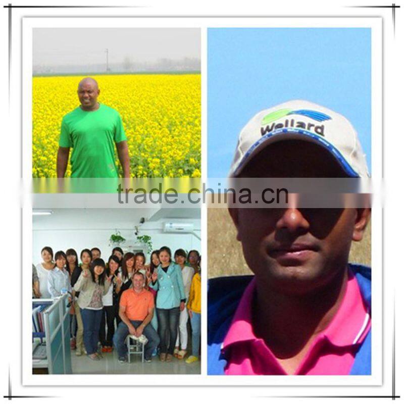 The best quality and service sales two row potato planter