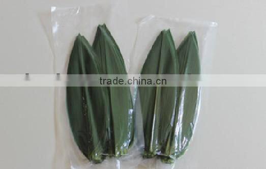 fresh bamboo leaves leaf