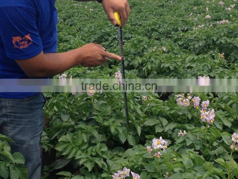 Qingdao manufacturer mushy alginate fertilizer indole acid organic fertilizer