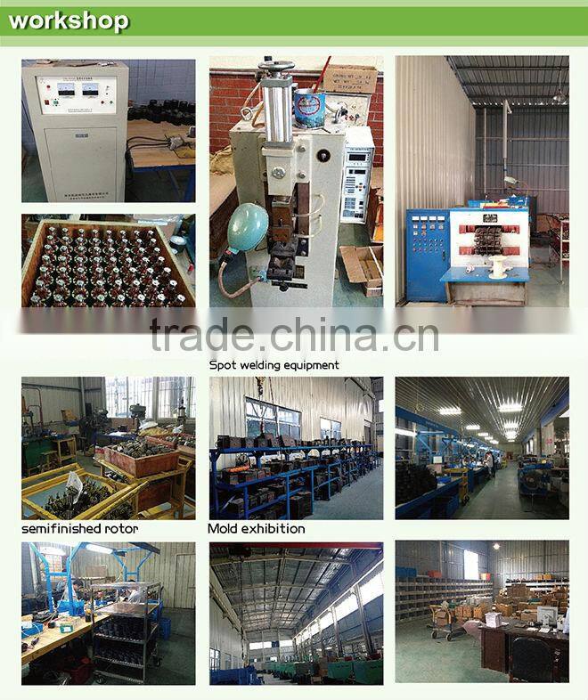 Singflo 220v ac adblue chemical circulating pump with pressure switch