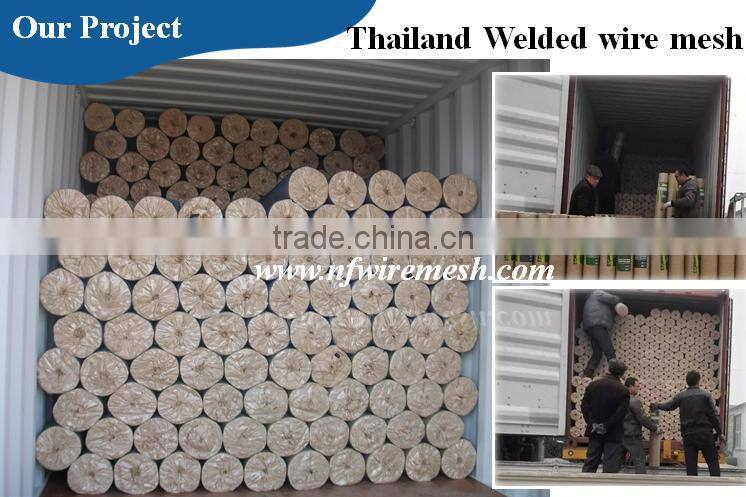 1.3mm Galvanized 3/8" /3/4" /1/2" /1" hole Welded Wire Mesh Net(Guangzhou factory)