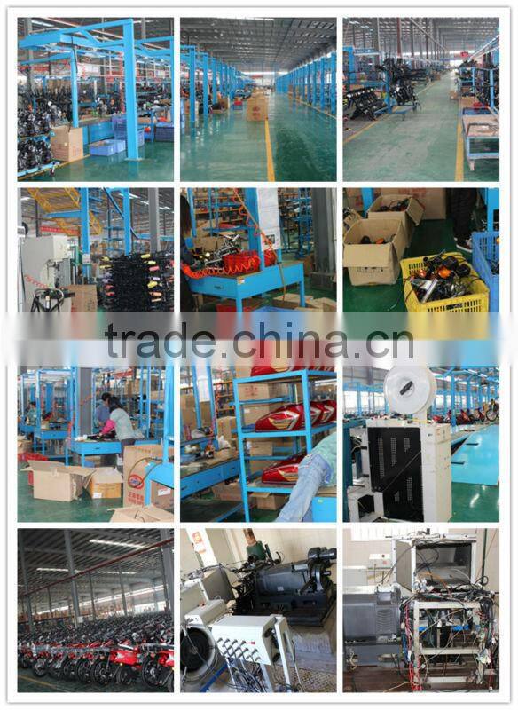 EEC motorcycle in 250cc