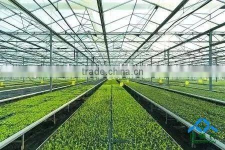 Glass shade greenhouse outside the band