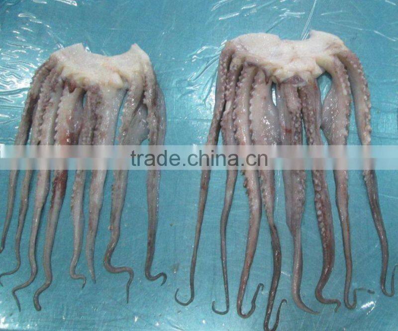 For BBQ 2-4 kgs Frozen Giant Squid Tentacles