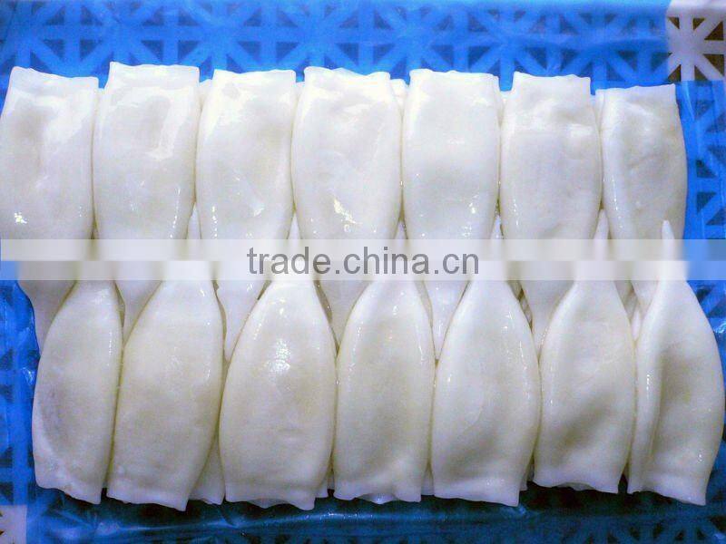 Frozen Peru squid tube