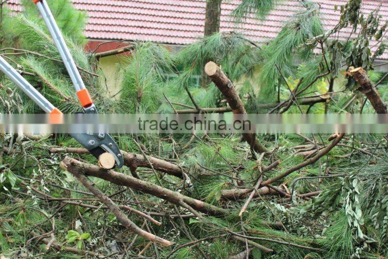 telescopic Alum anvil pruner garden tools