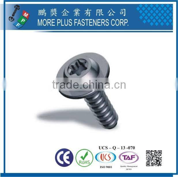 Maker in Taiwan Hot sales Stainless Steel Thread Forming Screws