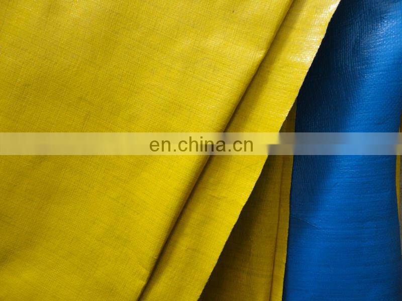 Dust-proof cover/sheet for house work PE tarpaulin waterproof sun-resistsnt