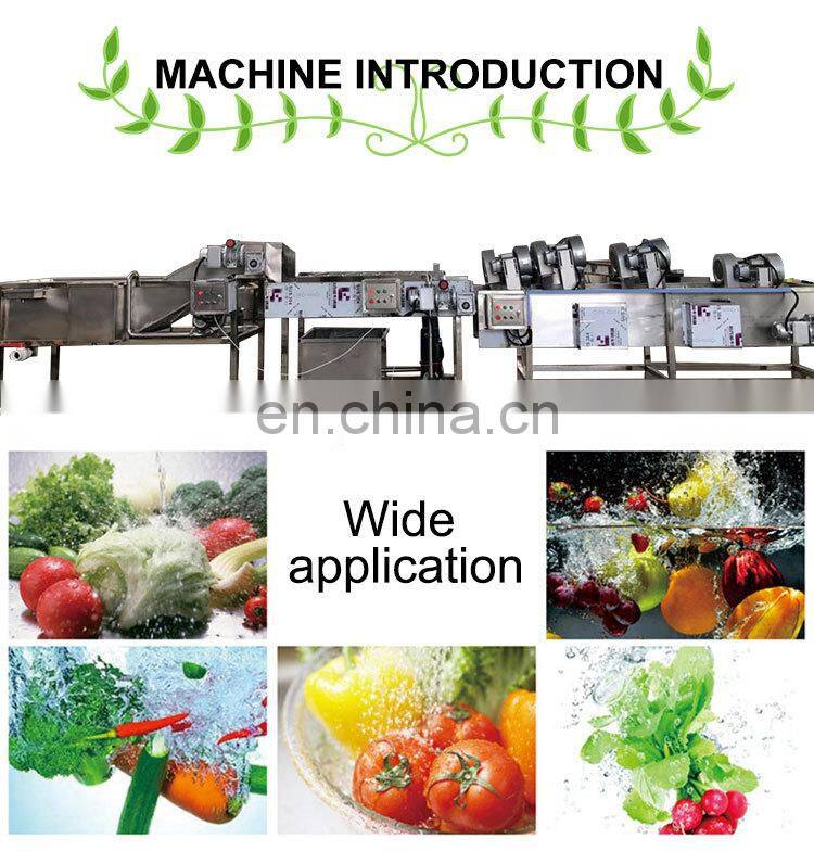 Commercial Automatic Fruit Strawberry Cleaner Blueberry Cleaning Mango Date Bubble Washer Tomato Vegetable Washing Machine Price