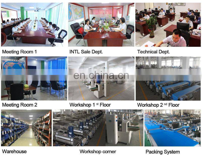 Biscuit/Wafer/Cookie/Bread/Cake/Food Full Servo Automatic Flow /Packing /Packaging/Wrapping Machine