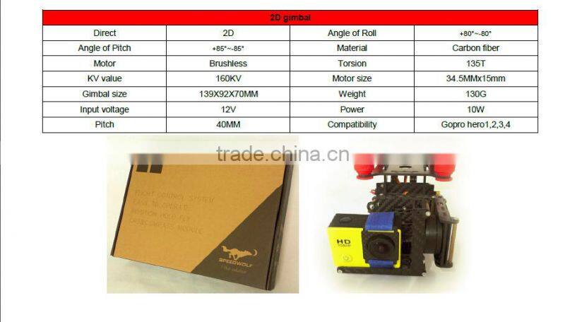 2.4G Professional Drone with GPS&Compass module