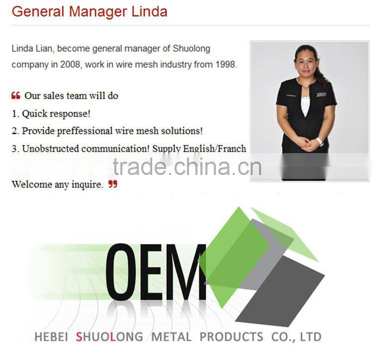 Partition Wall Decoration Laminated Glass Metal Mesh Screen Mesh