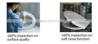 Special design women's intelligent toilet seat