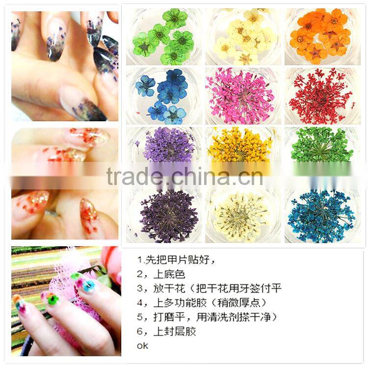 Stickers & Decals 3D Dry Flower, Mix 12 Color Decoration Real Dried Flower for Nail Art Decoration ZX:GH742