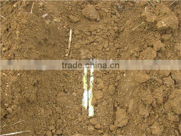 2016 high quality sugarcane planter/sugar cane planting machine made in China