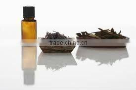 Essential Oil of Pine