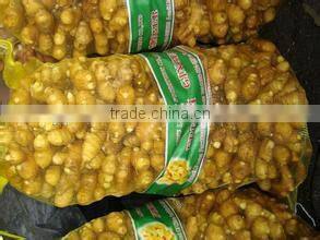 New crop dried ginger slice with competitive export price