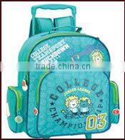 Office 300D Cooler Bag For Frozen Food