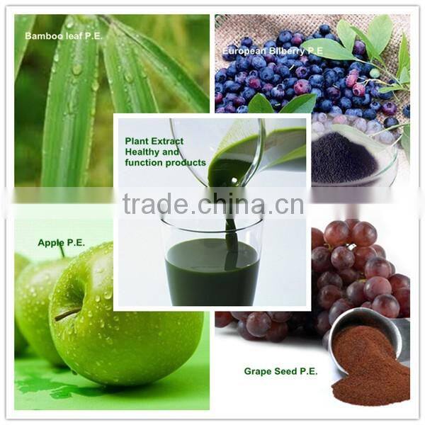 original various application strawberry fragrance WB21002