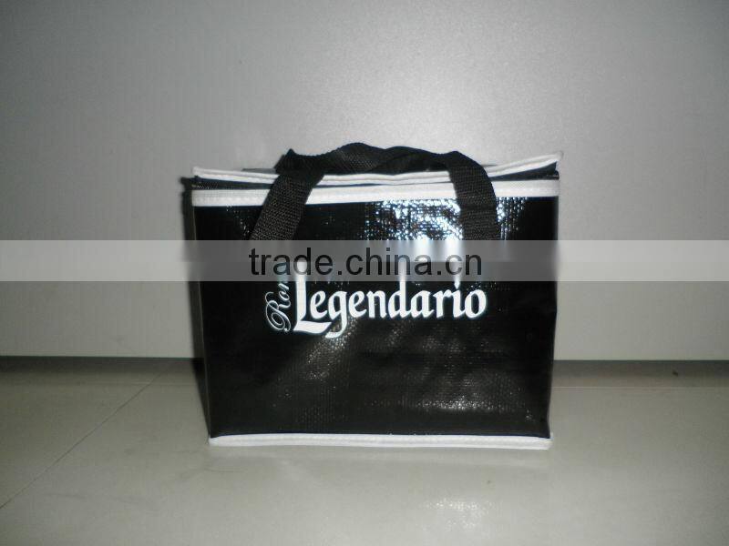 hot cold pack new style cooler bag