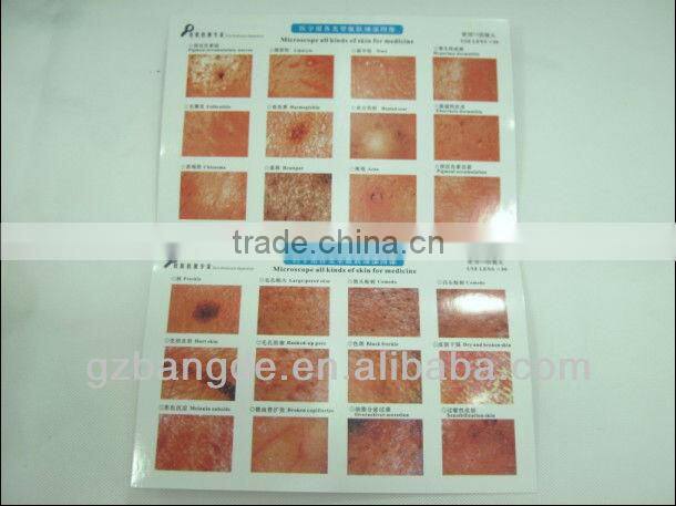 Portable facial skin analyzer machine BD-P003