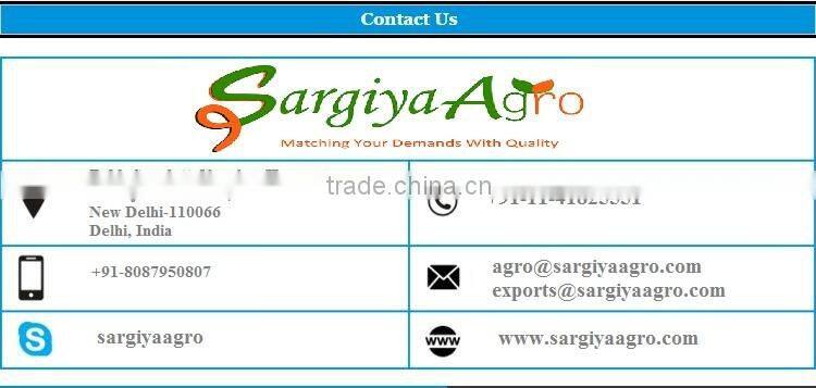 Nutmeg Whole l High Quality