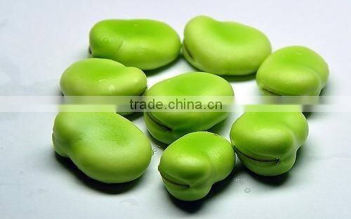 2014 New Broad bean Extract Powder, Broad bean Extract, Broad bean Protein