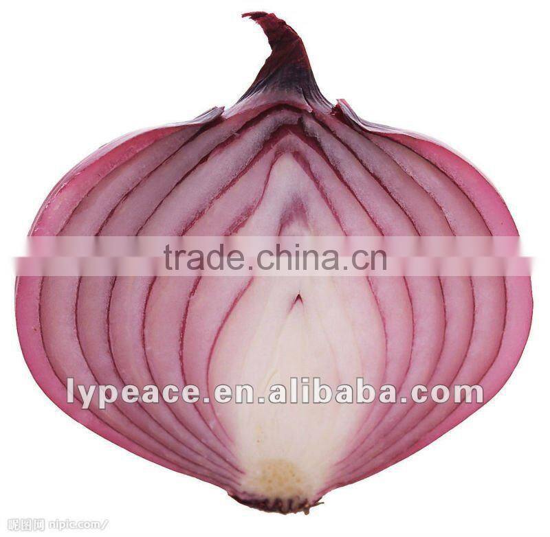 dehydrated onion vegetables for food products