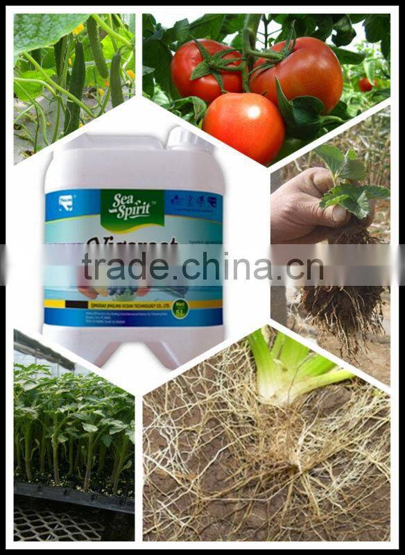 organic fertilizer sargassum seaweed fertilizer