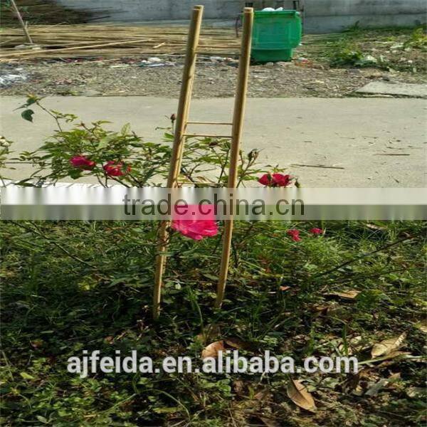 FD - 15625 saplings stents/Flower holder frame/ folding garden trellis