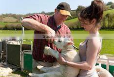 rfid uhf long range cow/cattle/sheep/goat/pig animal electronic ear tag