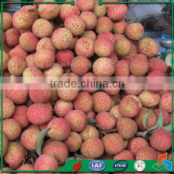 Date Longan Grading Machine