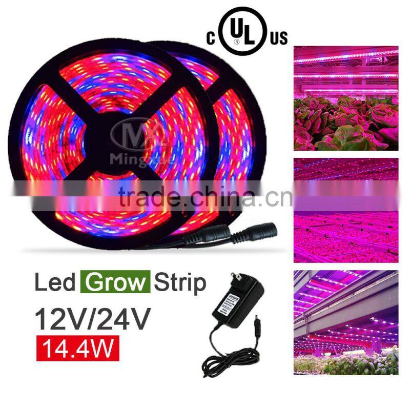 Red And Blue 6:1 Grow Led Light Flexible Waterproof Led Grow Strip