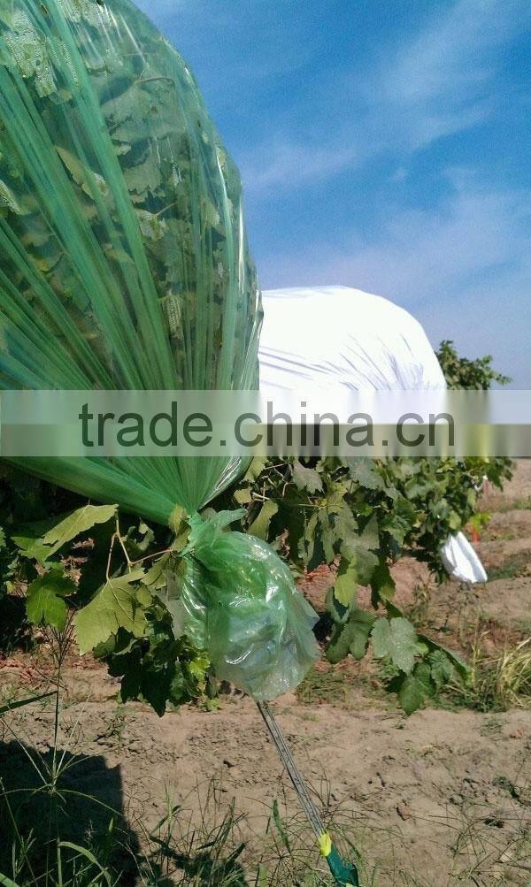Anti UV 200 micron plastic film/green house covering material