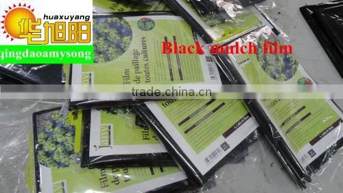Agricultural black plastic perforated mulch film with holes for strawberry