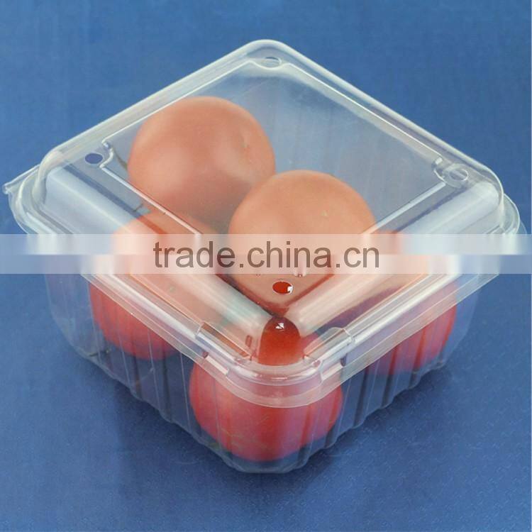 Under Piece Fruit Plastic Tray Liners