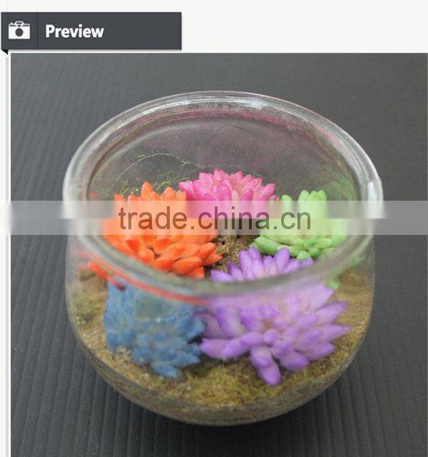 Mini artificial succulent plants in glass bowl potted mini succulents