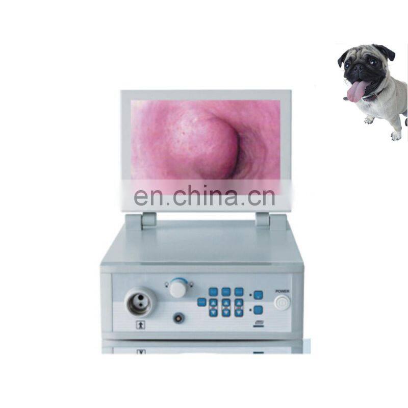 Automatic white balance adjustment LED lamp video endoscopy equipment for veterinary