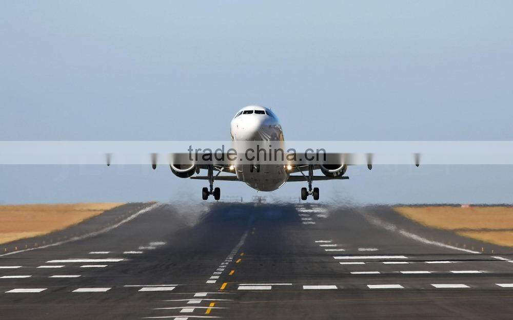 Superior Grade Soapnut Shell At Your Door Step